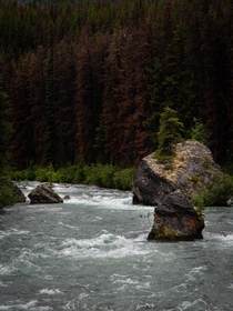 Jasper National Park is beautiful and full of great scenery OC   
