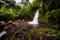 Jungle waterfall in Pohnpei 