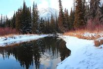 Just a short walk from my house Banff Alberta 