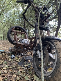 Just an old bike that someone left behind