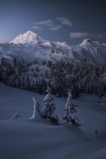 Just some happy little trees soaking in the pre-sunrise glow at Mt Baker OC  ross_schram