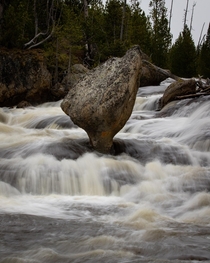 Just some moving water a rock and many years Yellowstone National Park 