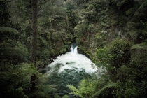 Kaituna Waterfall Rotorua New Zealand 