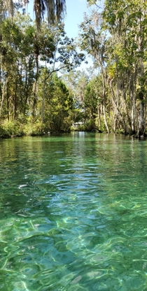Kayacking at Three Sister Springs Crystal River FL 