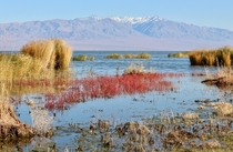 Khar-Us Lake - Western Mongolia 