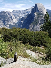 King of the world Glacier Point Yosemite National Park 