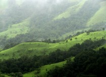 Kudremukh National Park Karnataka India 