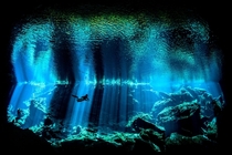 Kukulkan one of the spectacular cenotes on Mexicos Yucatn peninsula by Nick Blake 