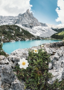 Lago di Sorapis Dolomites Italy 
