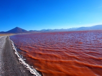 Laguna colorada Bolivia 