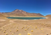 Laguna Miiques Atacama Desert Chile 
