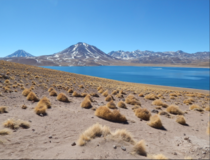 Lagunas Miscanti y Miiques Chile 