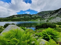 Lake Glcescu Parng Mountains Romania 