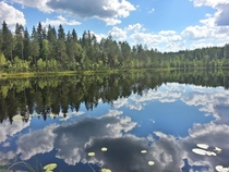 Lake in the woods of Veliky Novgorod Russia 