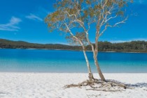 Lake McKenzie Fraser Island Queensland Australia 