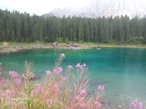 Lake of Carezza  Trentino Alto Adige  Italy 