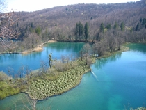 Lake Okrugljak in Plitvice Lakes National Park 