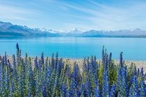 Lake Pukaki New Zealand 