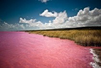 Lake Retba Senegal The color is due to a salt-loving algae - this stunning lake is about  of the stuff 