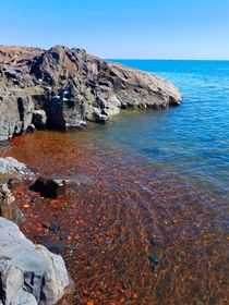 Lake Superior Minnesota  I loved how clear the water was