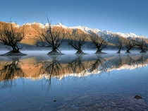 Lake Wakatipu New Zealand 