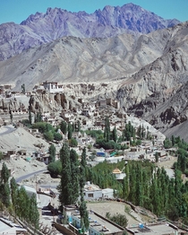 Lamayuru  Ladakh  India
