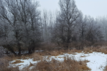 Landscape after first snow around Danube river Europe Serbia - Belgrade 