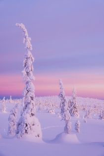 Lapland Finland  
