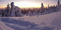 Lapland - Finland 