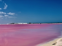 Las Coloradas Pink Lake Rio Lagartos Yucatan Mexico 