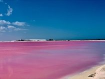 Las Coloradas Pink Lake Rio Lagartos Yucatan Mexico 