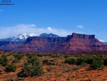 Lasals and a Mesa Near Moab Utah 
