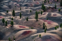 Lassen Volcanic National Park  Painted Sand Dunes 