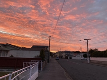 Last nights sunset  Wellington New Zealand