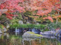 Last of the autumn colors in Himeji Japan 