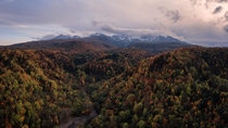 Late Autumn in Daisetsuzan National Park 