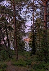 Late evening by the sea in The Porkkala Wilderness Finland 