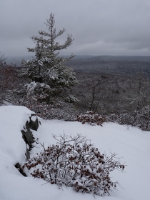 Late in the day on a cloudy snow-covered mountain in Western Massachusetts 