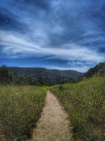 Laurel Canyon Trail Laguna Beach CA 