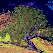 Lena River Delta Siberia Landsat  