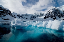 Lichen Shag Glacier Antarctica 