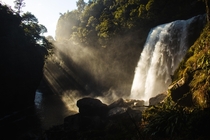 Light On Mangatini Falls New Zealand 