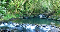 Limahuli Stream Kauai Hawaii OC 