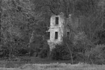Limestone mansion ruins in the Illinois River bottoms x 