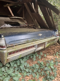 Lincoln Continental stretch with suicide doors once belonging to a Senator of Georgia It now sits rusting and collecting pollen in a shed behind the senators rotting mansion