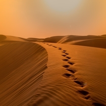 Liwa Desert United Arab Emirates 