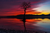 Loch Lomond sunset  