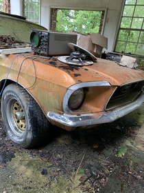 long abandoned Mustang
