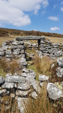 Long abandoned shelter at Crazywell Dartmoor UK 