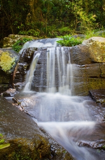 Long Exposure of a local waterfall     - Lamington National Park Australia